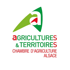 Logo CA Alsace