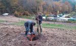 Baumpflanzaktion November 2019