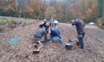 Baumpflanzaktion November 2019
