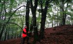 Revierleiter bei der Kartierung mit der Projektkoordinatorin Revierleiter bei der Kartierung mit der Projektkoordinatorin