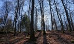 Hier darf die Natur wieder Natur sein!