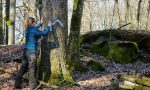 Projektkoordinatorin beim Markieren der Außengrenzen.