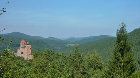 Berwartstein-von-Klein-Frankreich-P1460707