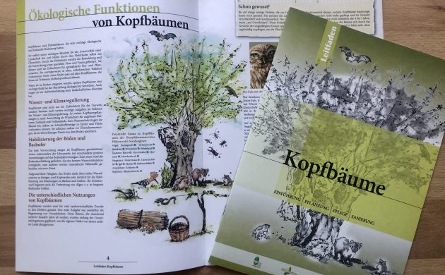 Die Broschüre auf Deutsch ist ab Herbst 2020 erhältlich