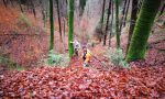 Im Kerbtal befindet sich die Quelle und der Oberlauf