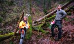 Die weiße Welle merkiert die Ränder der Altholzinsel 