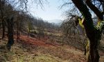 Blick vom Dernbacher Haus
