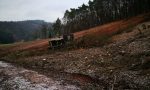 2. Schritt: Mulcharbeiten (Winter 2018)