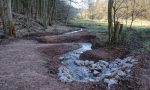 Mäandernder Bachlauf und durch Wasserbausteine geschaffene unterschiedliche Strömungsgeschwindigkeiten Mäandernder Bachlauf und durch Wasserbausteine geschaffene unterschiedliche Strömungsgeschwindigkeiten