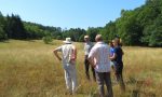 Ortsbegehung im Sommer 2018