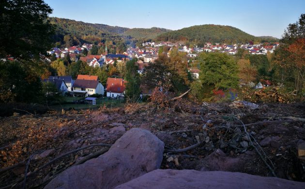 Freie Sicht auf's Krämereck, Natura 2000 Gebiet mit Platz für viele unserer Arten.