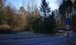 Vorher: Terassenförmig aufgebaute ehemalige landwirtschaftlich genutzte Flächen aufgelassen.