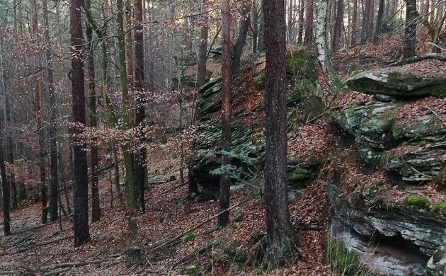 Felsformation in der Altholzinsel