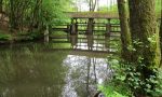 Blick auf das Stauwehr von oben (flussaufwärts)