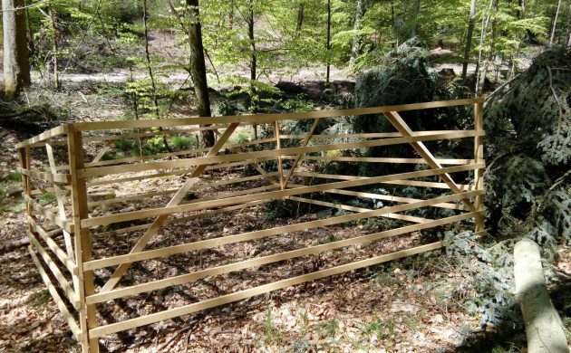 Placeau avec protection par lattis bois (12 aulnes Aulnus glutinosa par placeau)