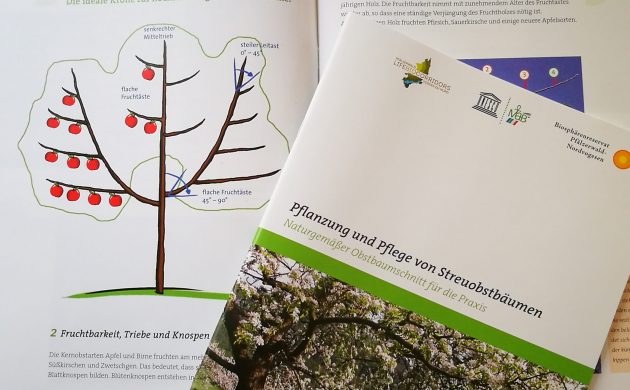 Broschüre: Pflanzung und Pflege von Streuobstbäumen