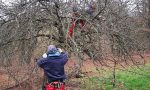 März 2019 Pflege der Streuobstbäume
