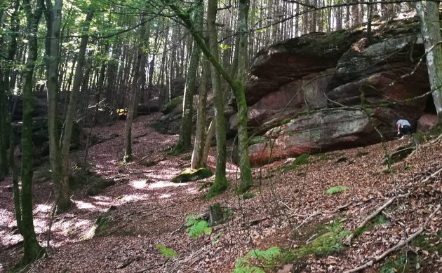 Altholzinsel mit Sandsteinfelsen und Höhlen oberhalb des Seehofweihers