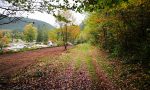 Vor Obstbaumpflanzung 24.10.2019