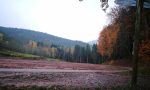 Herbst 2019