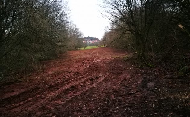 Nach der Freistellungsmaßnahme im Januar 2020