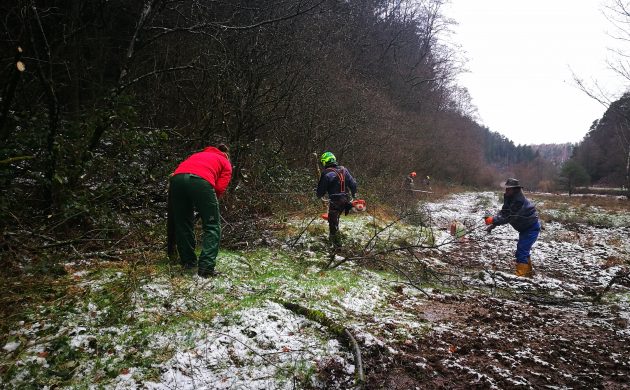 Mulch- und Zaunfreistellungsarbeiten Mulch- und Zaunfreistellungsarbeiten