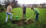 Pflanzaktion im März 2020