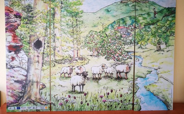 Typische Arten des Biosphärenreservates können den verschiedenen Lebensräumen zugeordnet werden.