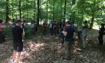 Visite sur un ilot de sénescence en forêt communale de Wingen Visite sur un ilot de sénescence en forêt communale de Wingen