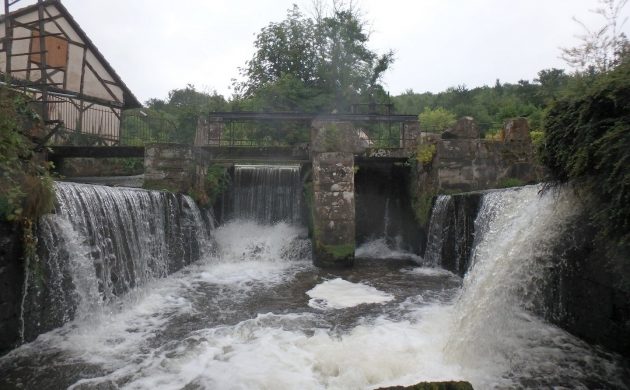 Fischzucht bei Liebfrauenthal 