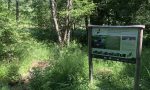 Infotafel am Litschbach bei Niederschlettenbach Infotafel am Litschbach bei Niederschlettenbach
