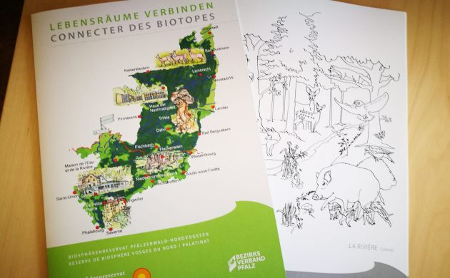 Spielerisch mehr über Naturschutz und unser Biosphärenreservat Pfälzerwald-Nordvogesen erfahren! Spielerisch mehr über Naturschutz und unser Biosphärenreservat Pfälzerwald-Nordvogesen erfahren!