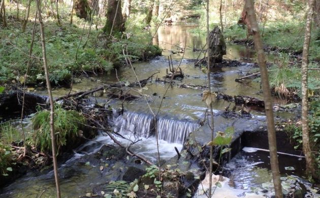 Vorher: Panzersperre aus Beton mit 30 cm Absturzkante Vorher: Panzersperre aus Beton mit 30 cm Absturzkante