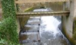 Am rechten Ufer befindet sich eine Fischpassage