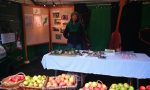 Infostand zum Projekt in Petersbächel Infostand zum Projekt in Petersbächel