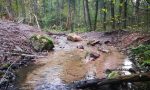 Abbau der Betonschwelle und Einbau von Wasserbausteinen zur Einrichtung von Gewässerabschnitten mit unterschiedlicher Fließgeschwindigkeit. Abbau der Betonschwelle und Einbau von Wasserbausteinen zur Einrichtung von Gewässerabschnitten mit unterschiedlicher Fließgeschwindigkeit.