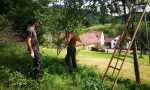 Pflege der Altbäume (2018) Pflege der Altbäume (2018)