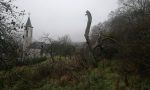 Vorher: Streuobstwiese in Schindhard Vorher: Streuobstwiese in Schindhard