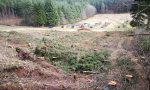 Vorher: Fichtenfläche am Friedhof Vorher: Fichtenfläche am Friedhof