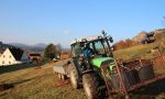 Mutterboden um im Bereich der Pflanzlöcher den felsigen Boden zu verbessern. Mutterboden um im Bereich der Pflanzlöcher den felsigen Boden zu verbessern.