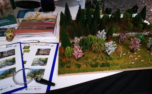 Ziele des LIFE-Projektes andand eines Modells und eines Quiz erklären!